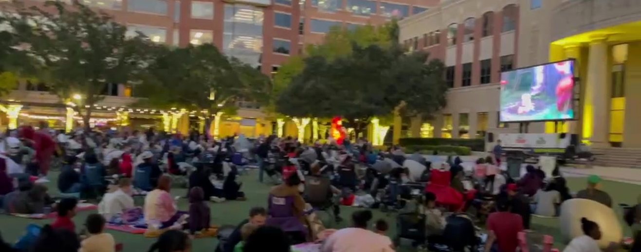 Crowd at an outdoor screening